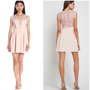Elegant BCBGeneration Baby Pink Mini Lace Dress